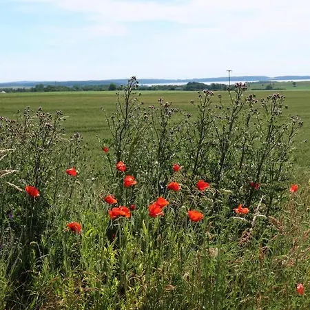 Ferienwohnung Mit Boddenblick Fuer 4 *